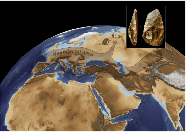 neandertalieni-cerc-arctic